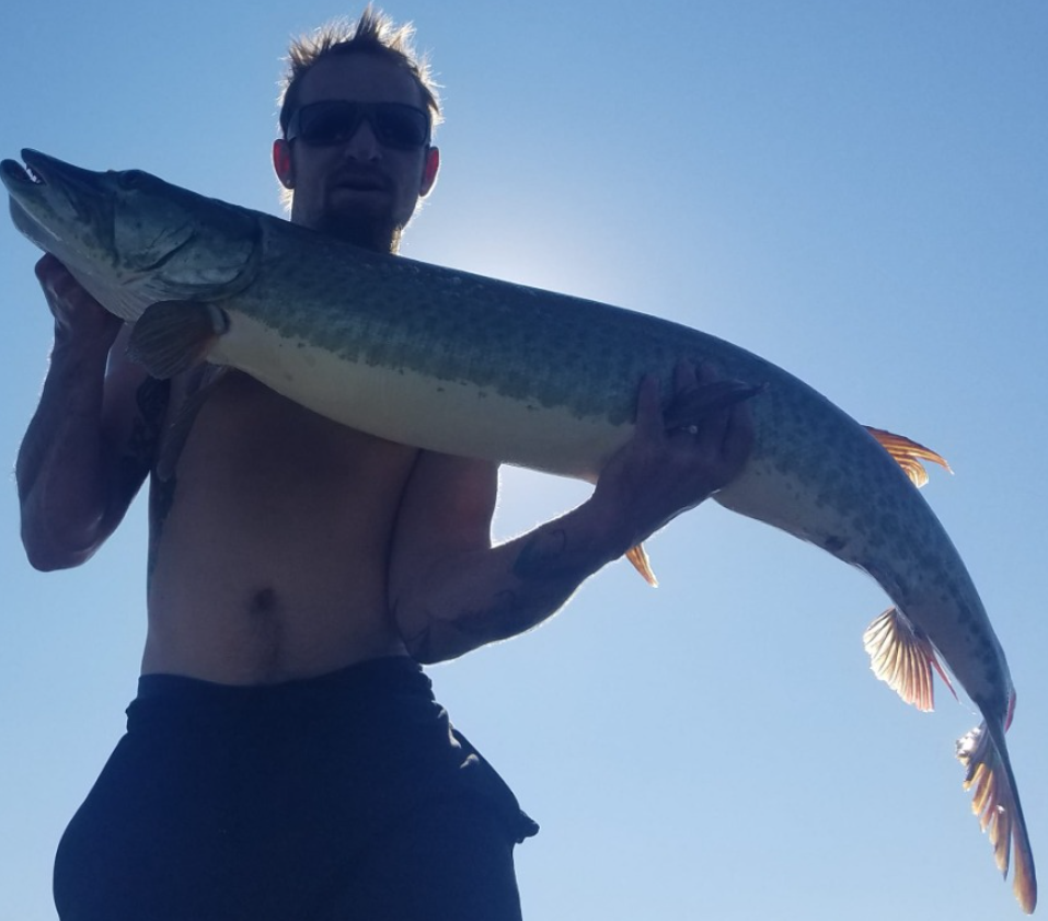 8 Hour Full-Day Muskie Trip