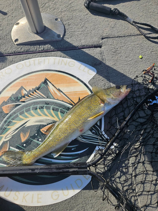 Spring Walleye Run – Half-Day Guided Trip